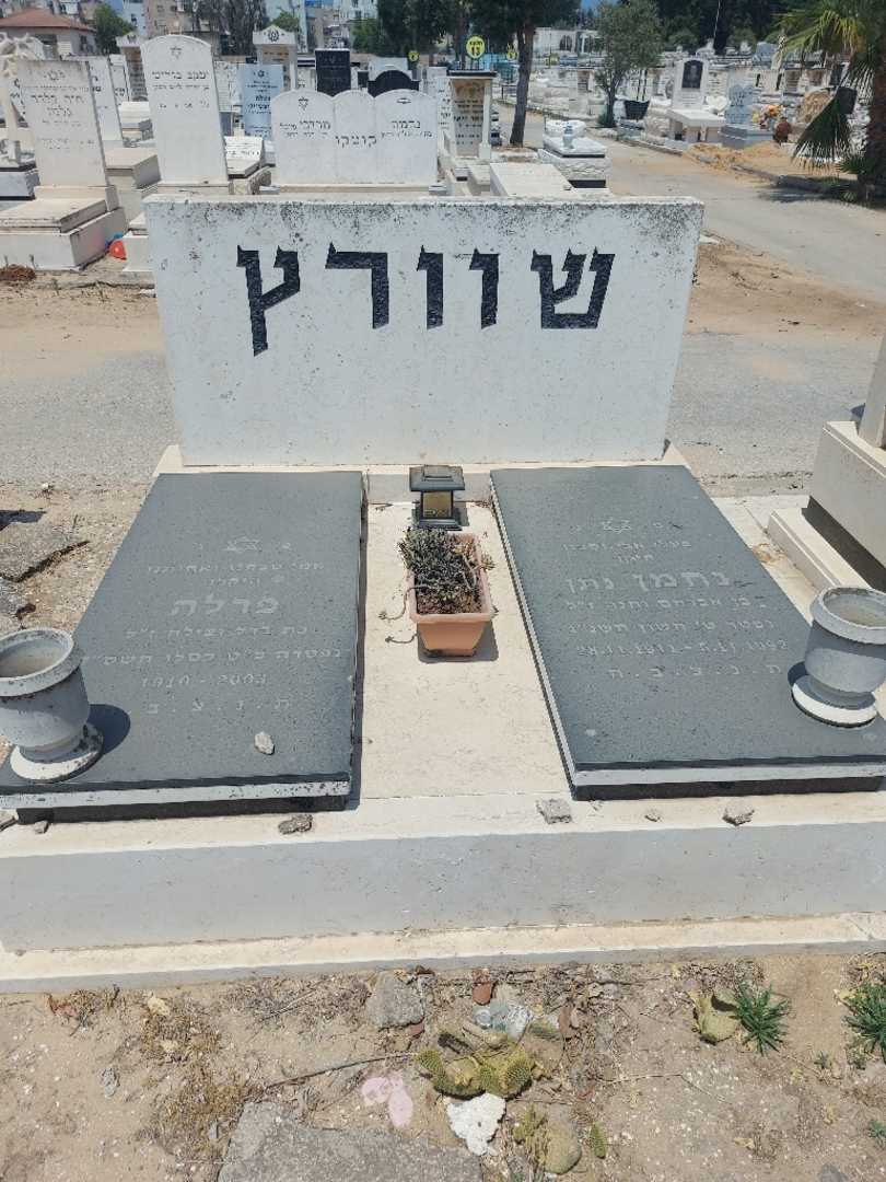 קברו של פרלה שוורץ. תמונה 1