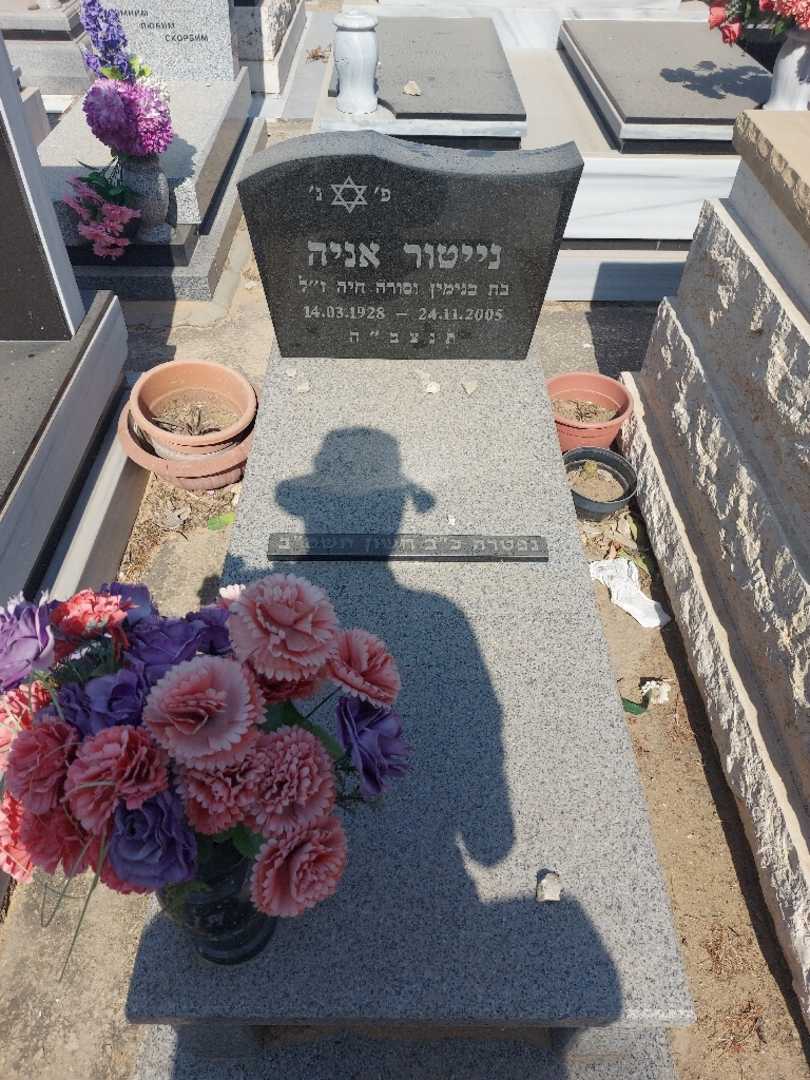 קברו של אניה נייטור