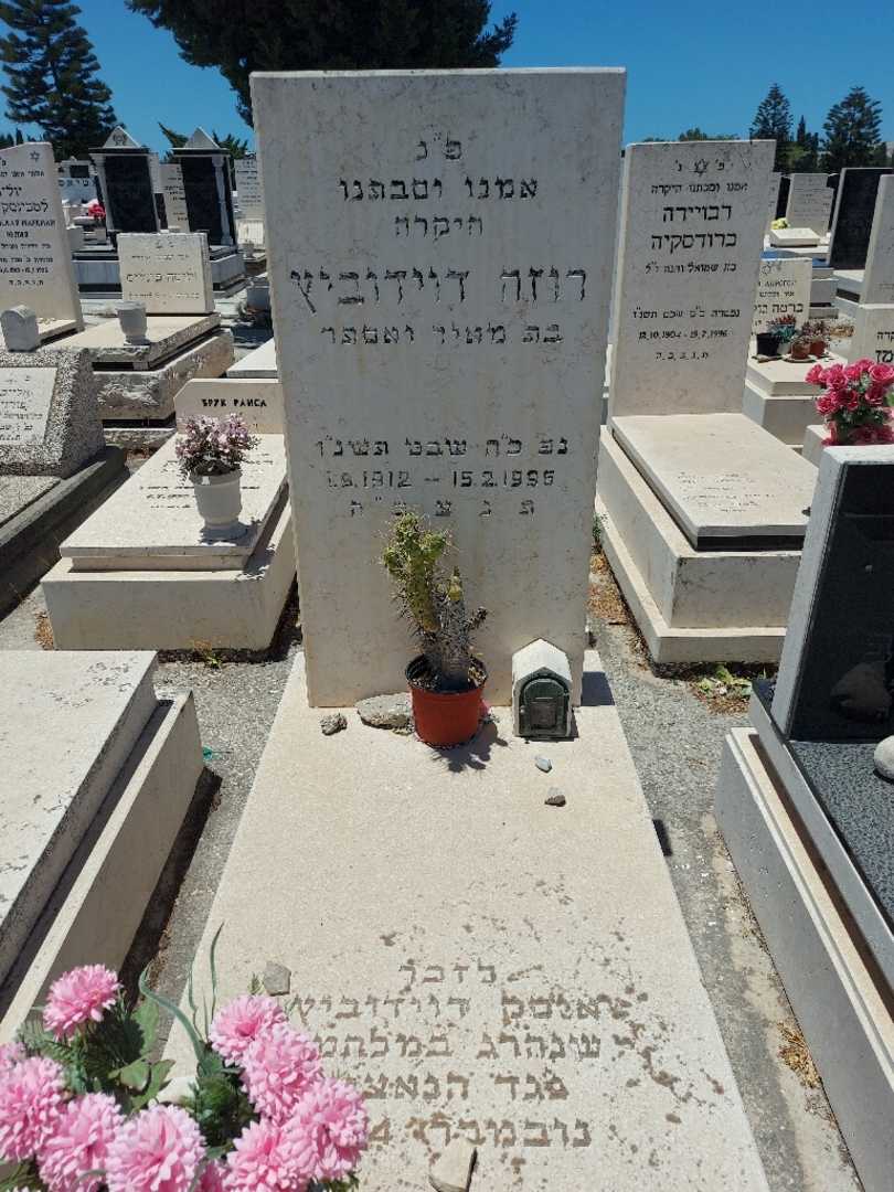 קברו של רוזה דוידוביץ