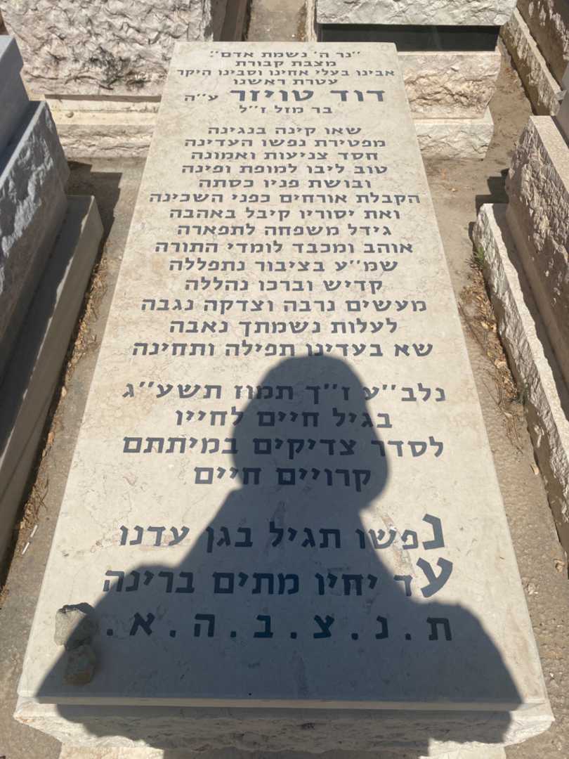 קברו של דוד טויזר