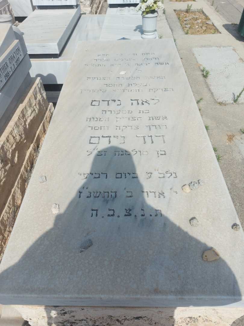 קברו של לאה נידם