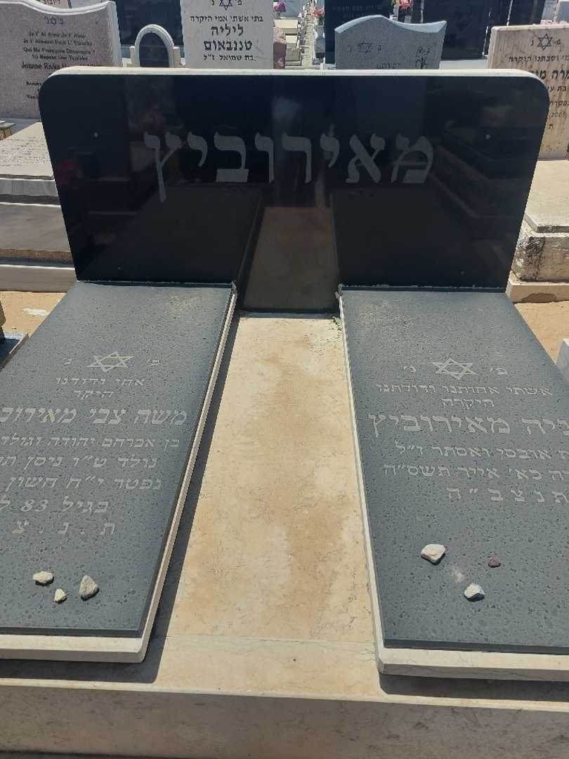 קברו של משה צבי מאירוביץ. תמונה 1