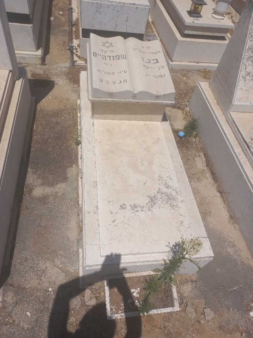 קברו של בני שפודהיים