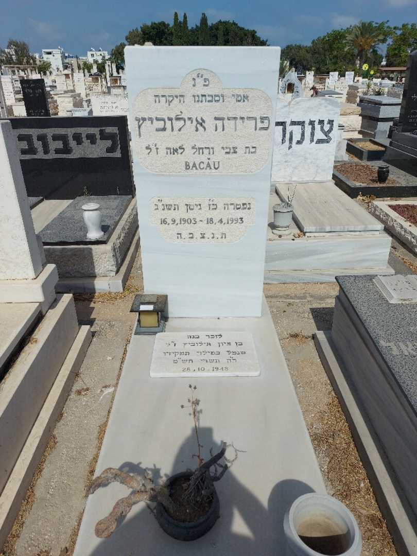 קברו של פרידה אילוביץ