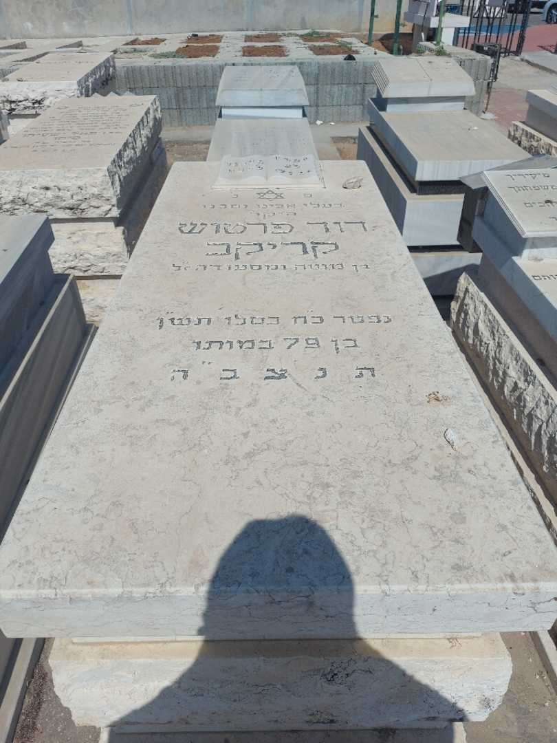 קברו של דוד פרטוש קריקב