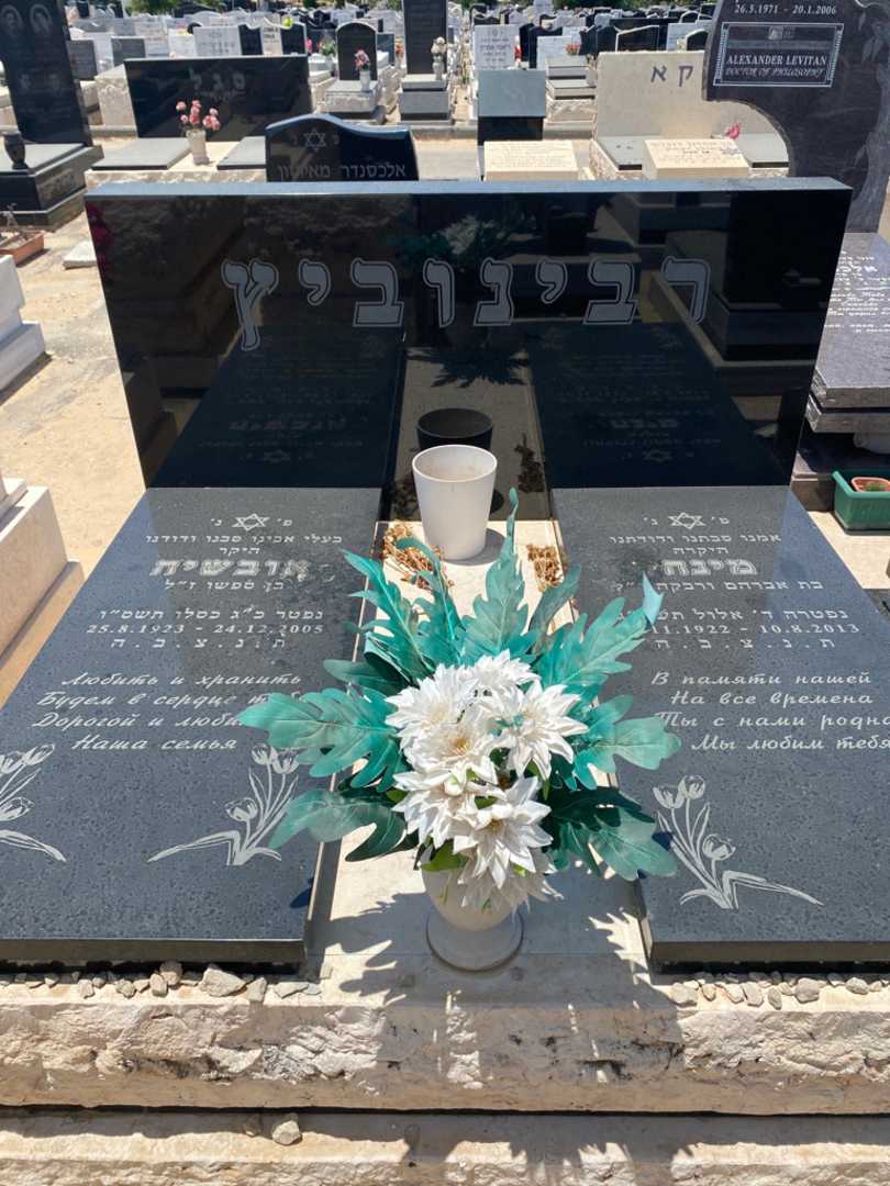 קברו של אובשיה רבינוביץ. תמונה 1