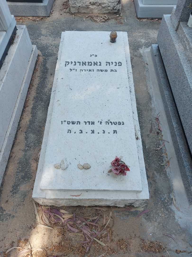 קברו של פניה גאמארניק