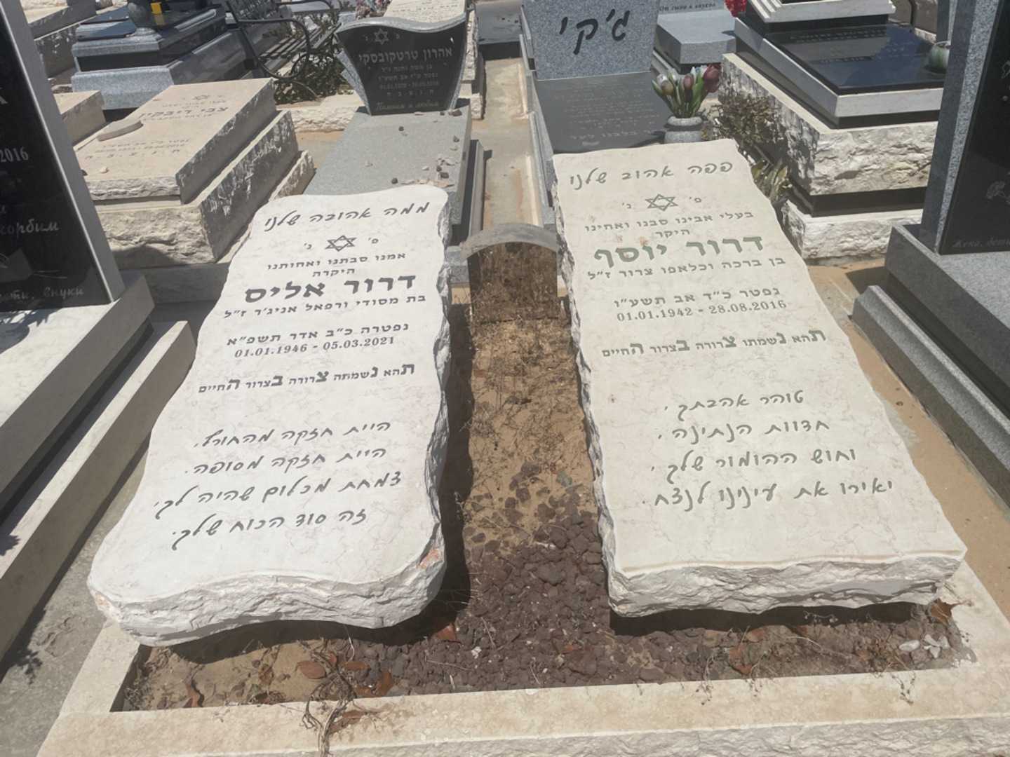 קברו של אליס דרור