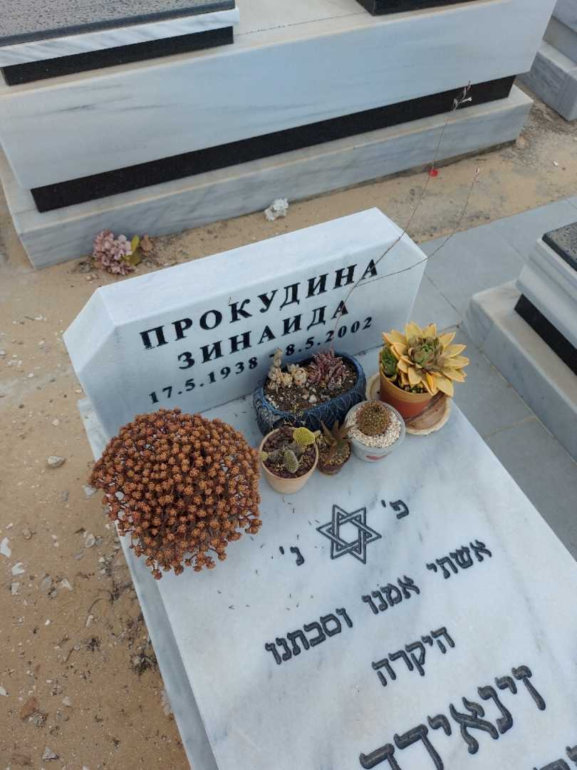 קברו של זינאידה פרוקודיז. תמונה 2