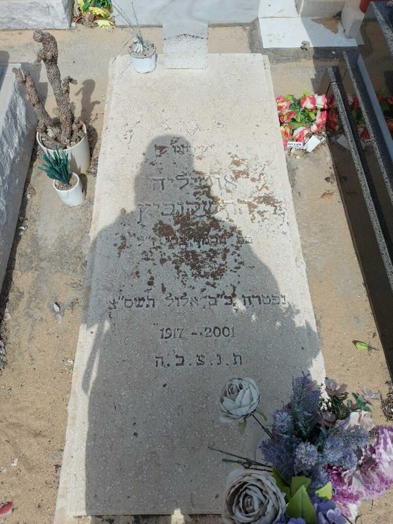 קברו של אוטילה הרשקוביץ. תמונה 2