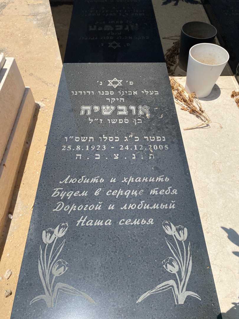 קברו של אובשיה רבינוביץ. תמונה 2