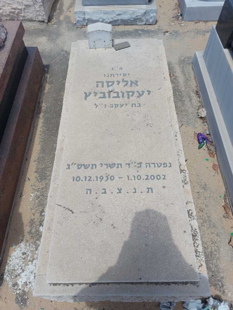 קברו של אליסה יעקובוביץ