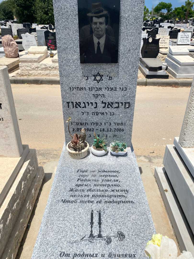 קברו של מיכאל נייגאוז. תמונה 1