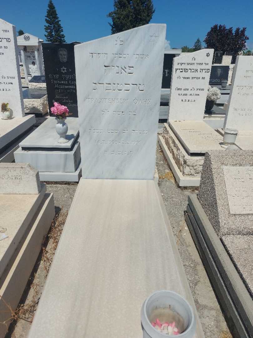 קברו של פניה טרכטנברג