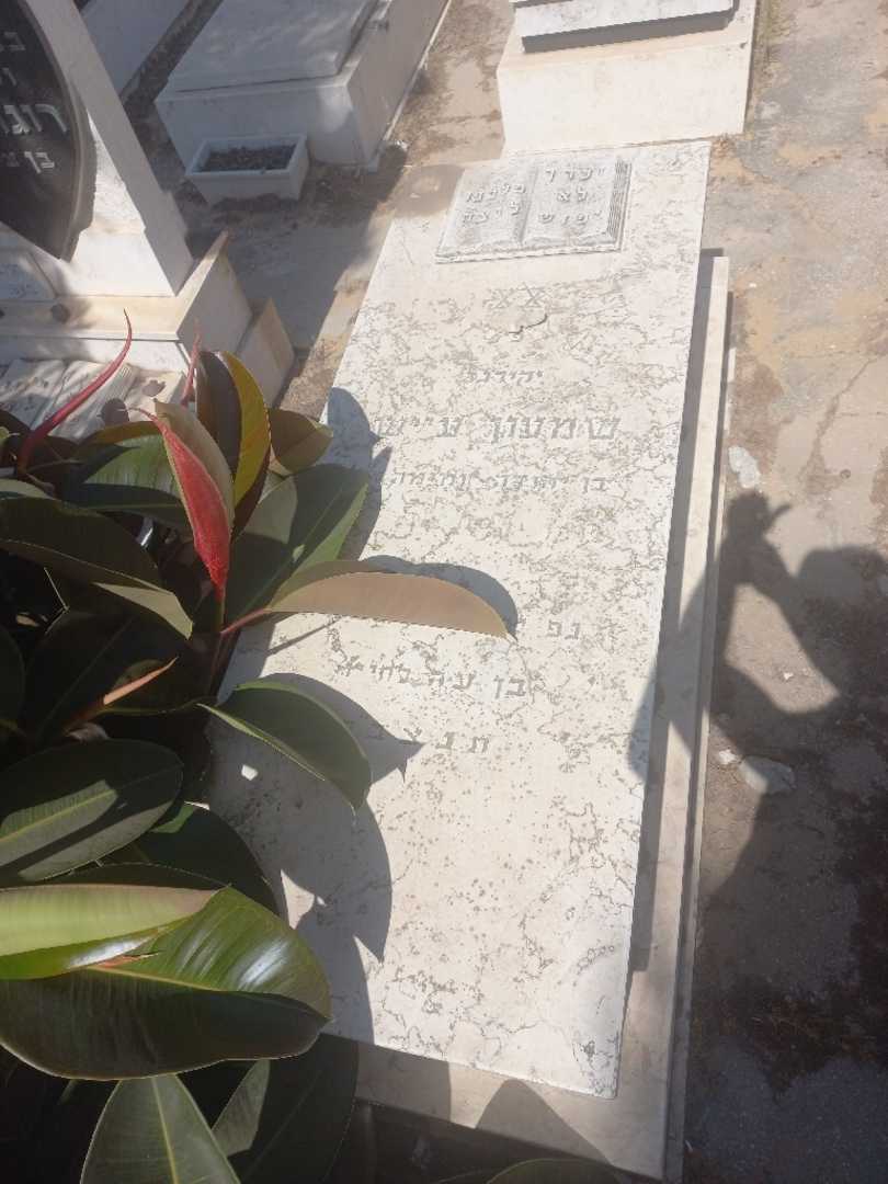 קברו של שמעון עייש