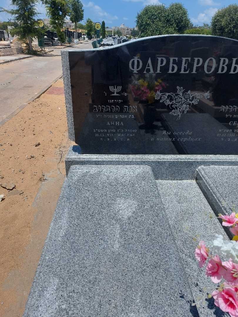 קברו של אנה פרברוב. תמונה 1