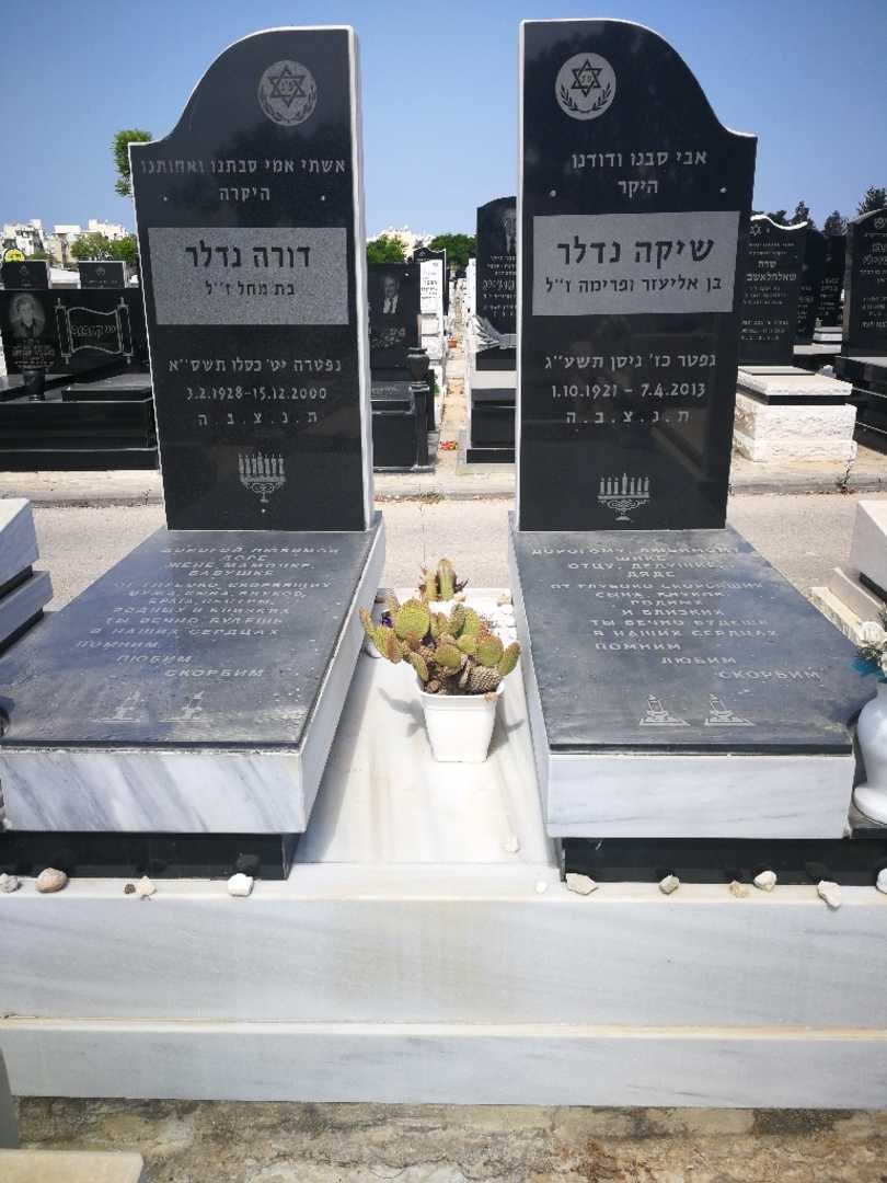 קברו של דורה נדלר. תמונה 1