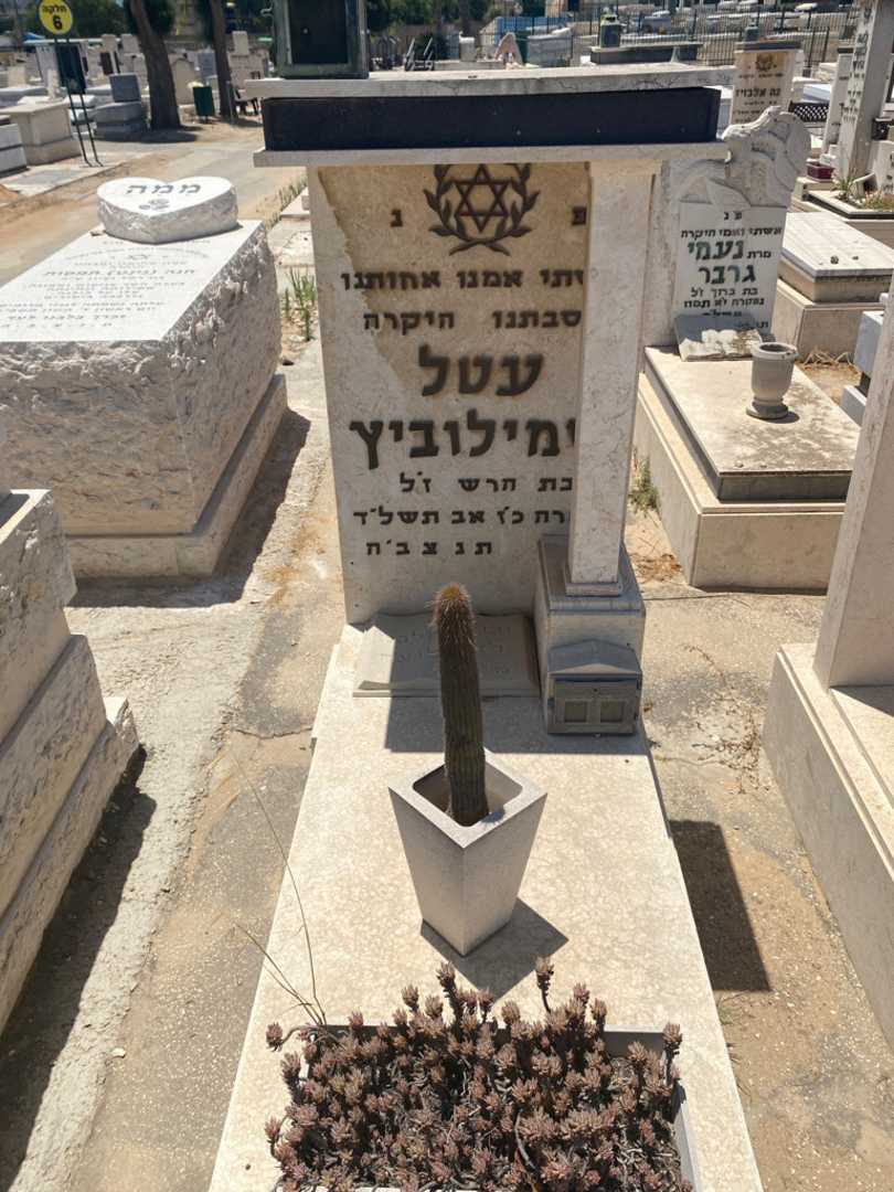 קברו של עטל שמילוביץ. תמונה 1