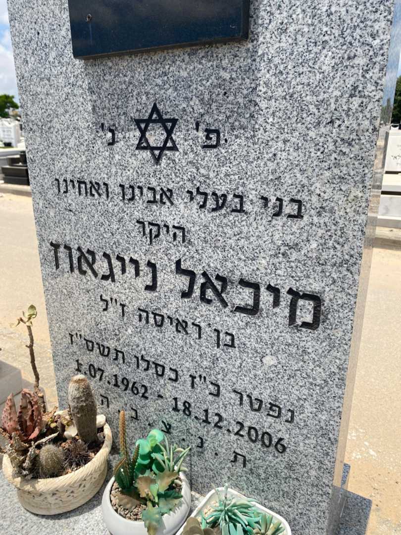 קברו של מיכאל נייגאוז. תמונה 2