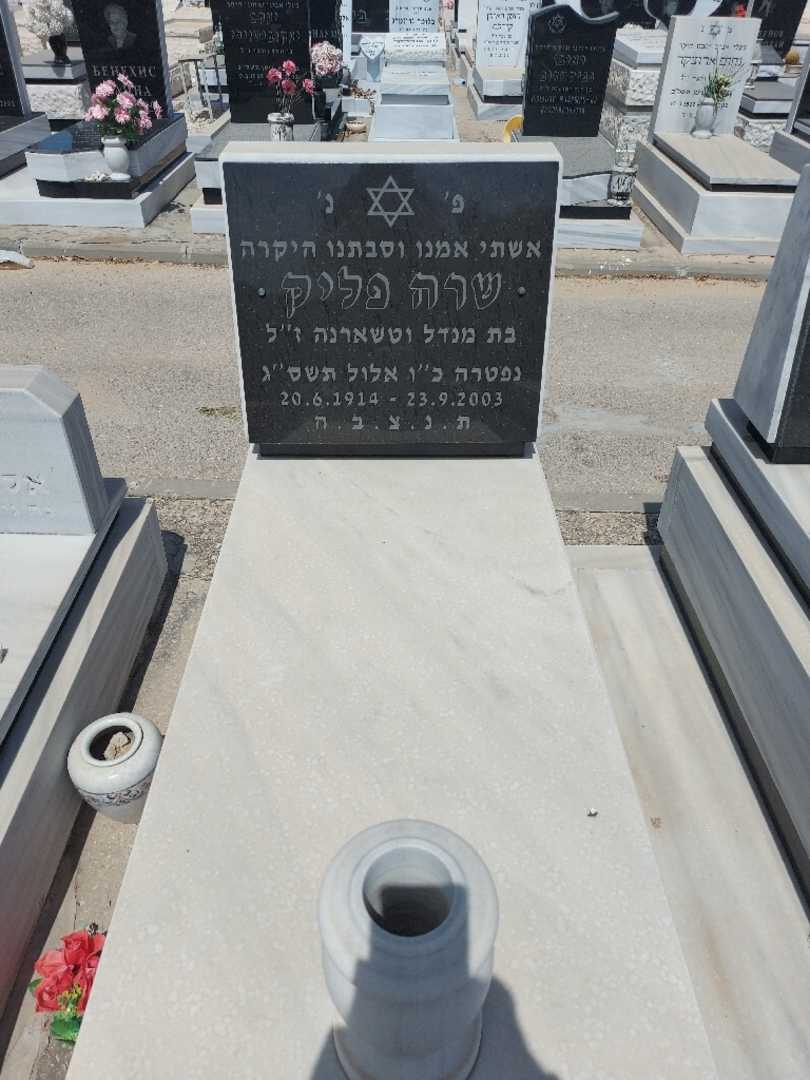 קברו של שרה פליק. תמונה 1