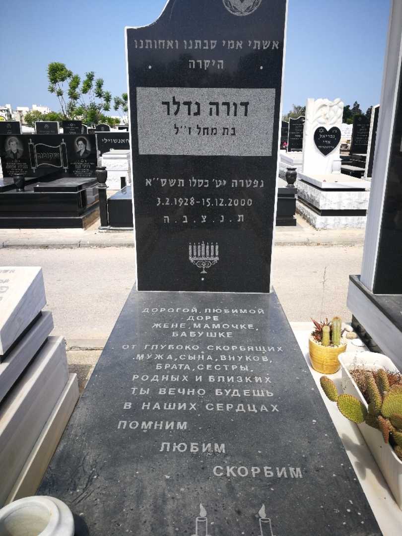 קברו של דורה נדלר. תמונה 2