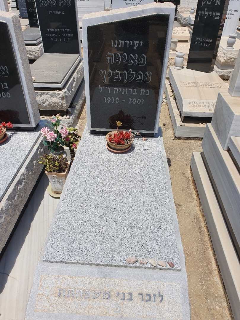קברו של פאינה צפלוביץ