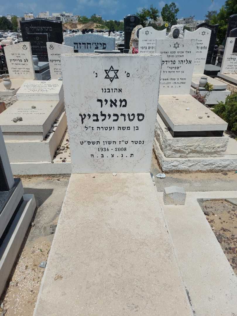 קברו של מאיר סטרכילביץ'. תמונה 1