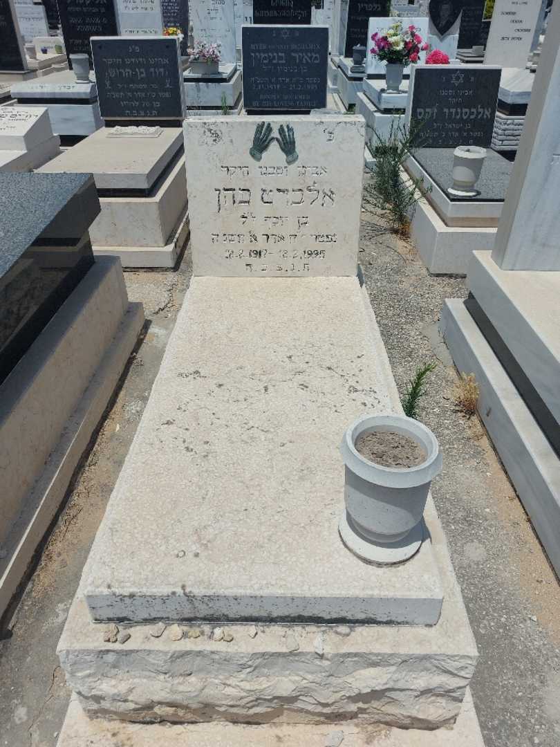 קברו של אלברט כהן