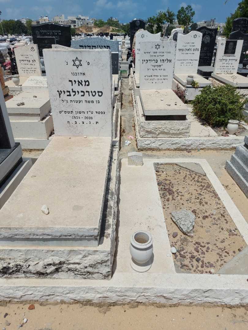 קברו של מאיר סטרכילביץ'. תמונה 2