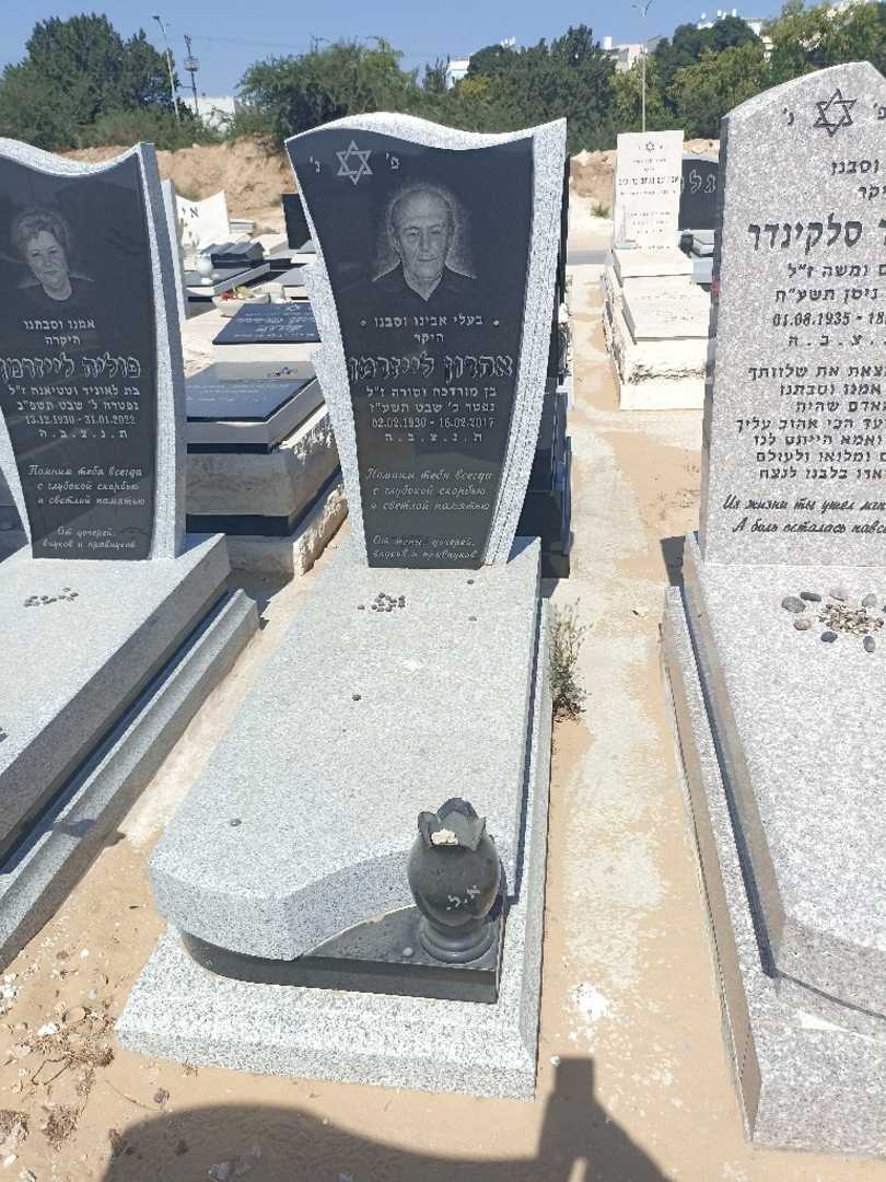 קברו של ארון לייזרמן. תמונה 1