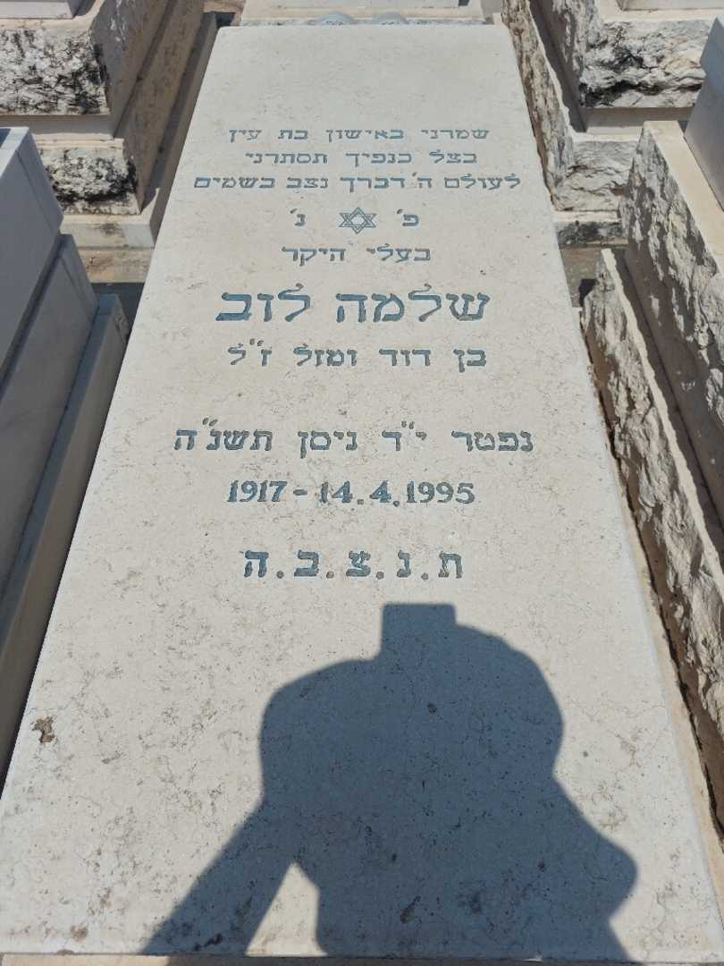 קברו של שלמה לוב