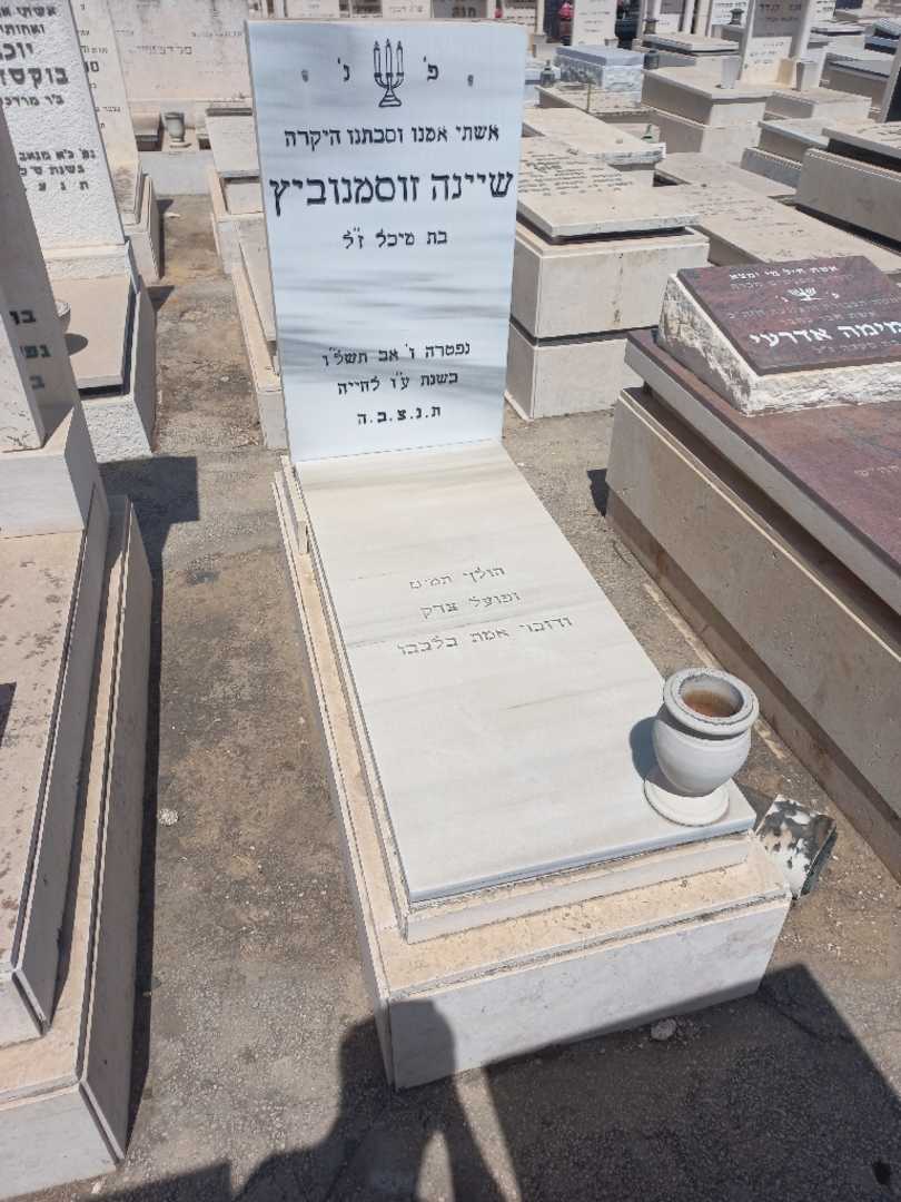 קברו של שיינה זוסמנוביץ