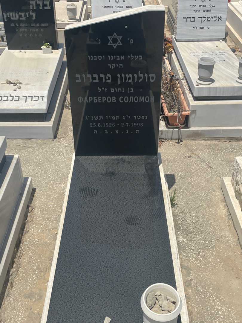 קברו של שלמה פרברוב