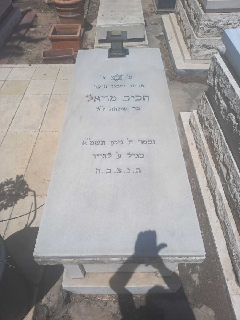 קברו של חביב מויאל