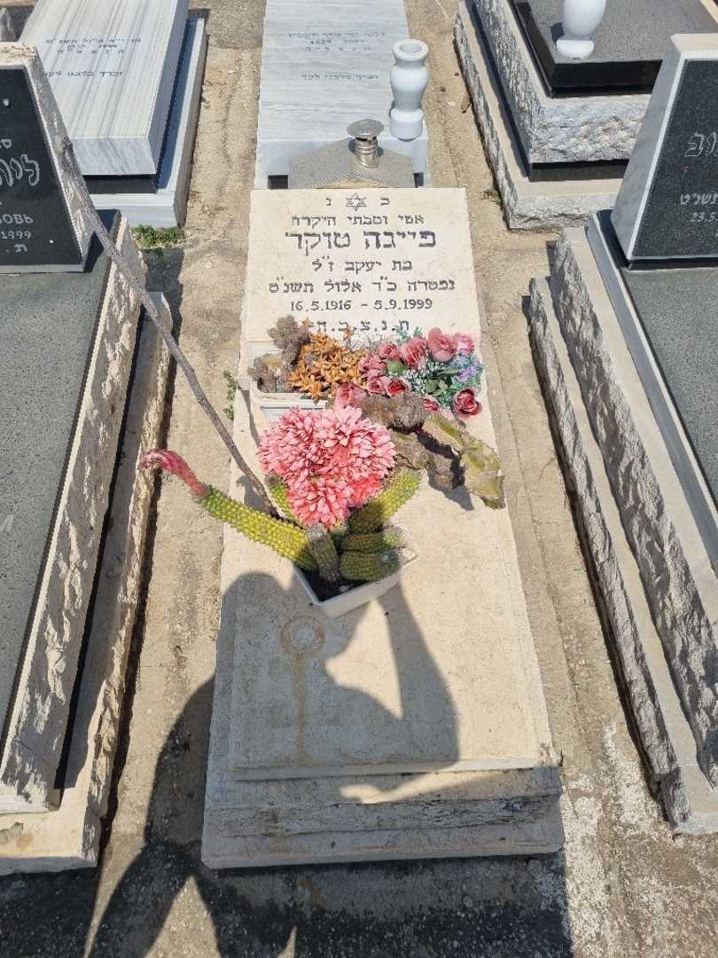 קברו של פייגה טוקר