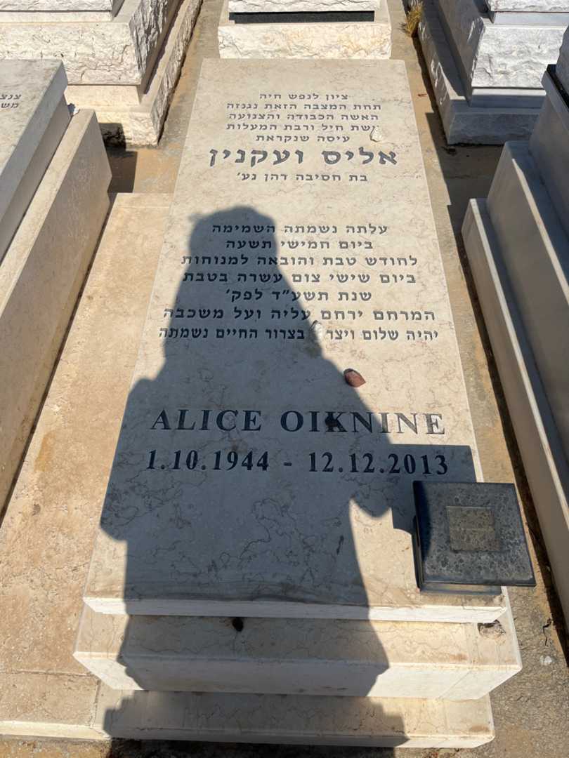 קברו של אליס וועקנין. תמונה 1