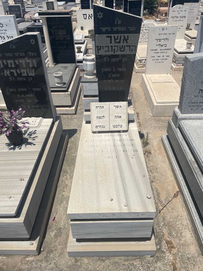 קברו של אישר הרשקוביץ