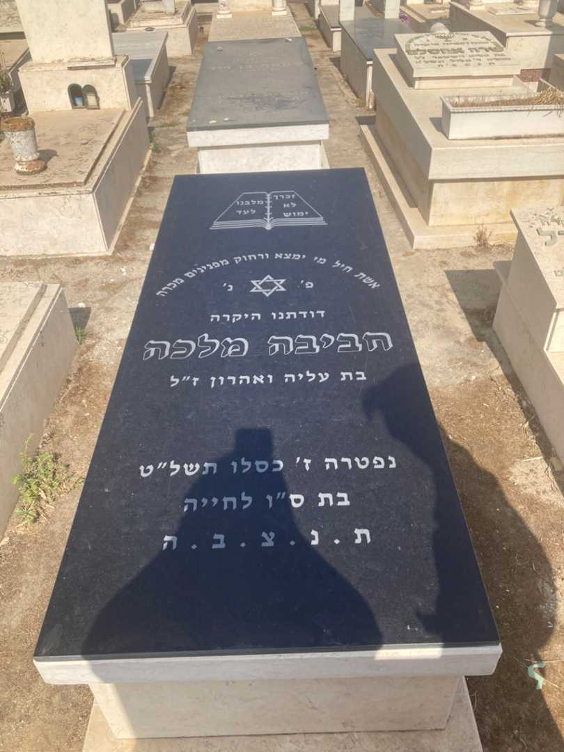 קברו של אביבה מלכה