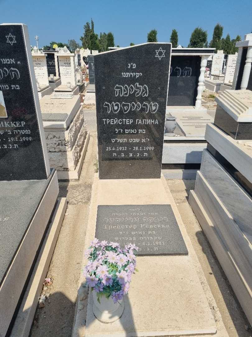 קברו של ריבקה טרייסטר
