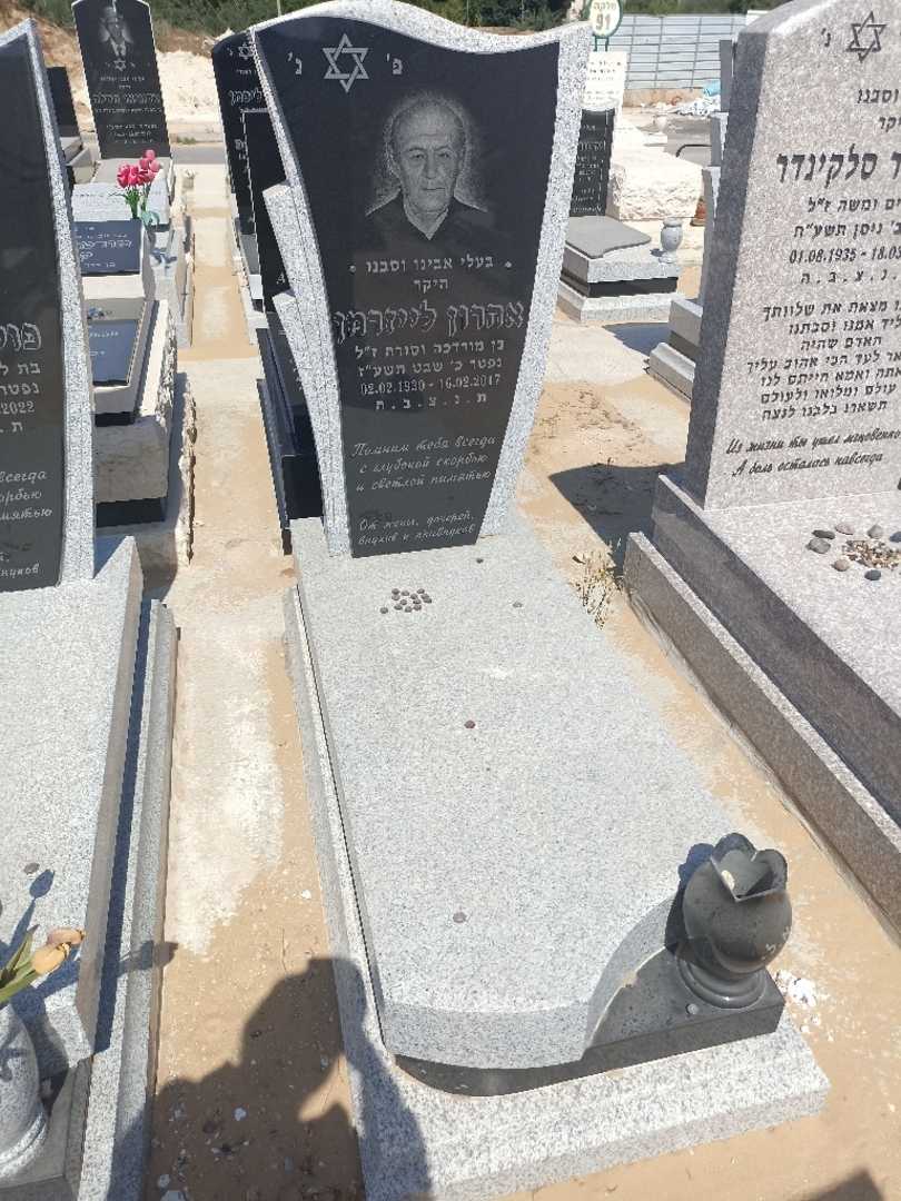 קברו של ארון לייזרמן. תמונה 2
