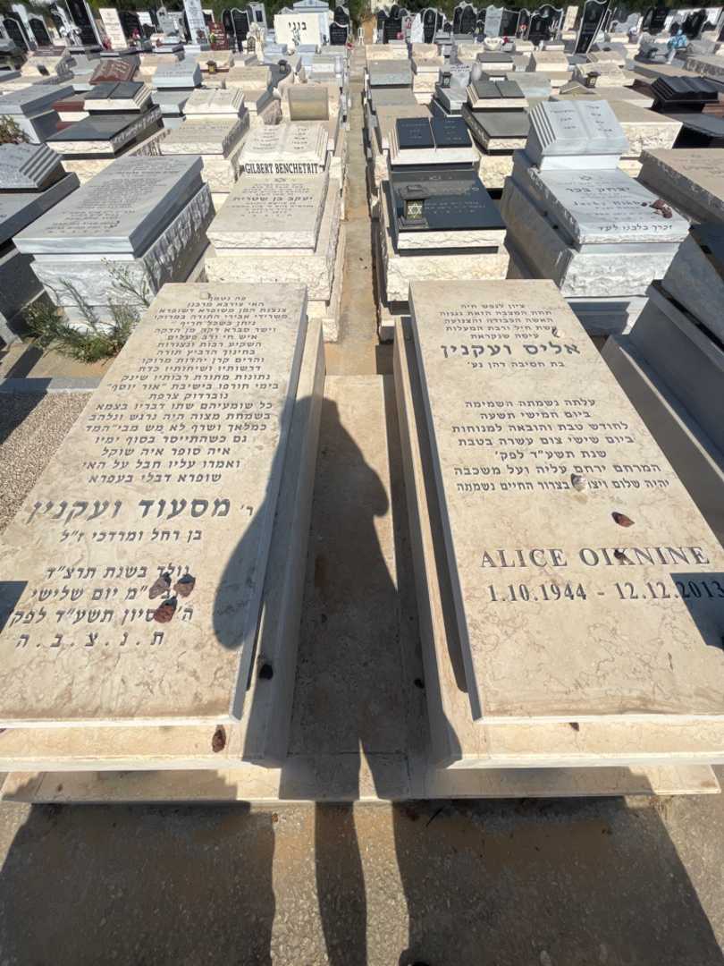 קברו של אליס וועקנין. תמונה 2