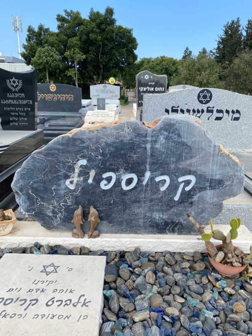 קברו של אלברט קריספל. תמונה 4