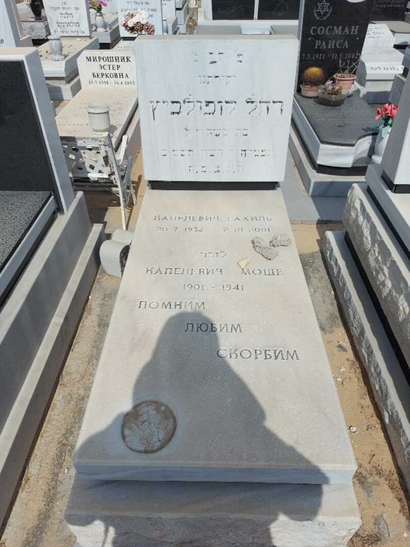 קברו של משה קופולביץ