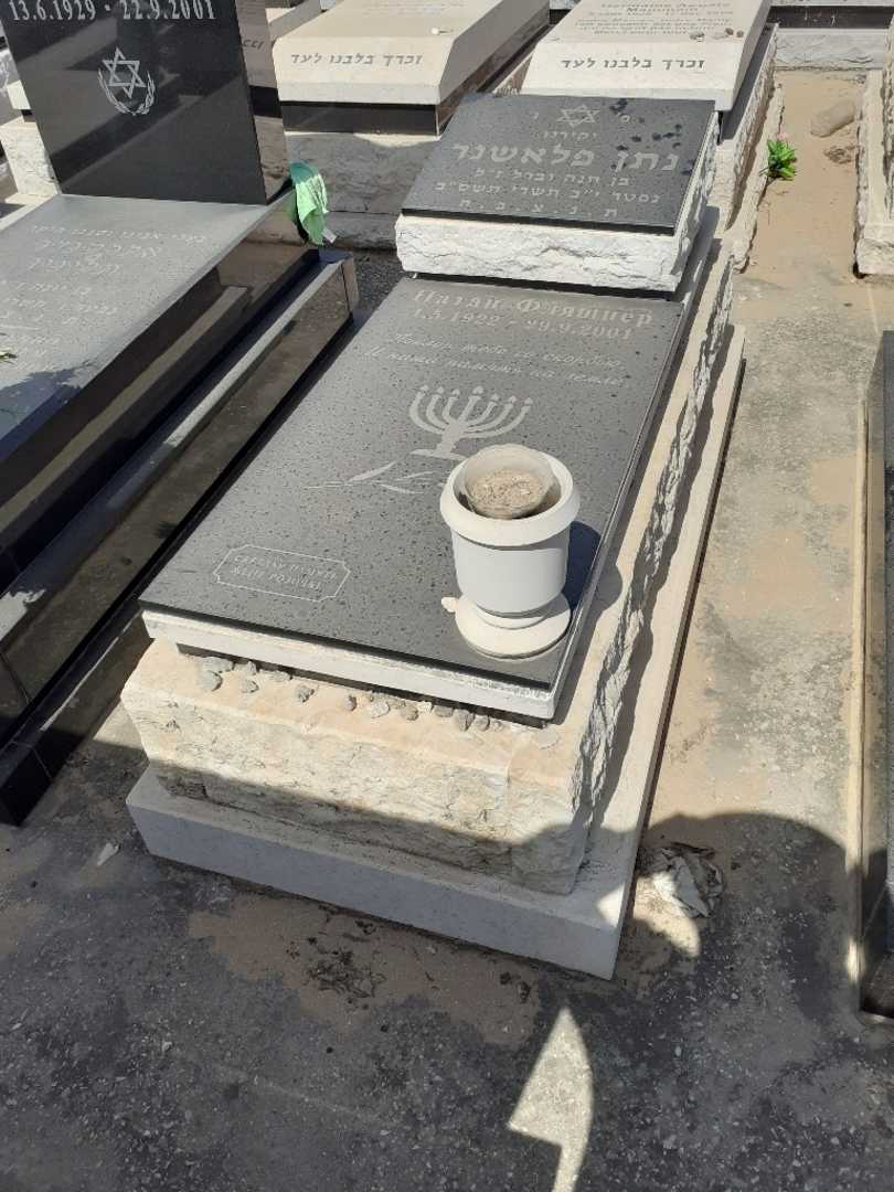 קברו של נתן פליאשנר