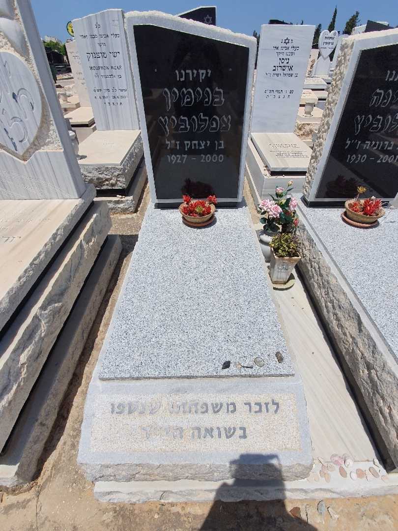 קברו של בנימין צפלוביץ