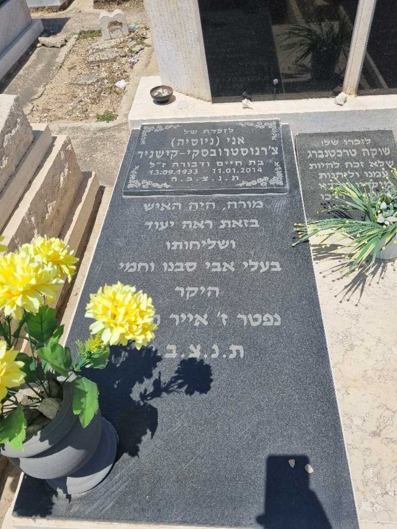 קברו של חיימלה צ'רנוסטרובסקי. תמונה 3