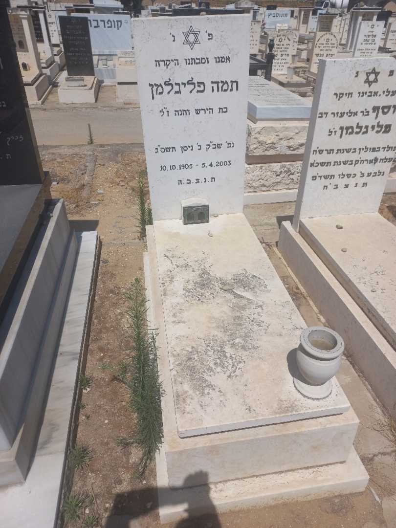 קברו של תמר פליגלמן