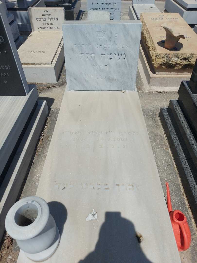 קברו של נעימה הללי