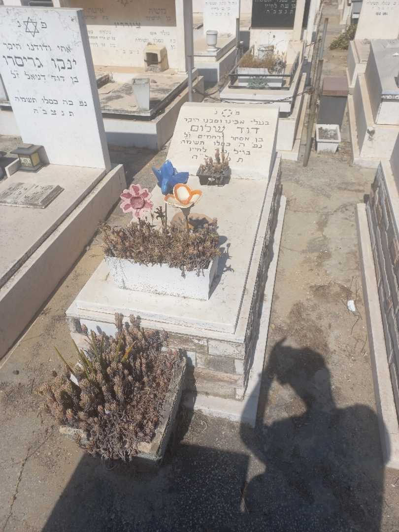 קברו של דוד שלום