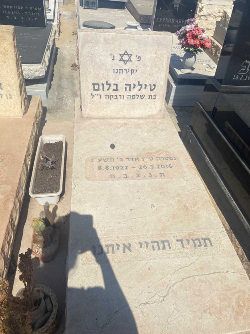 קברו של טיליה בלום. תמונה 2
